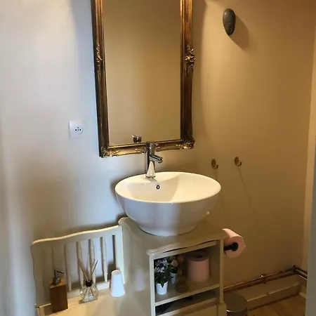 La Modestine Le Monastier sur Gazeille